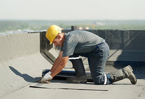 Best Insulation Replacement Services  in Dover, NH