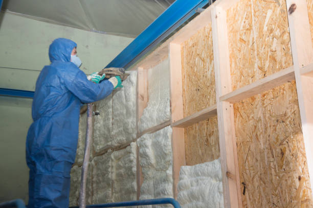 Best Energy-efficient Insulation  in Dover, NH